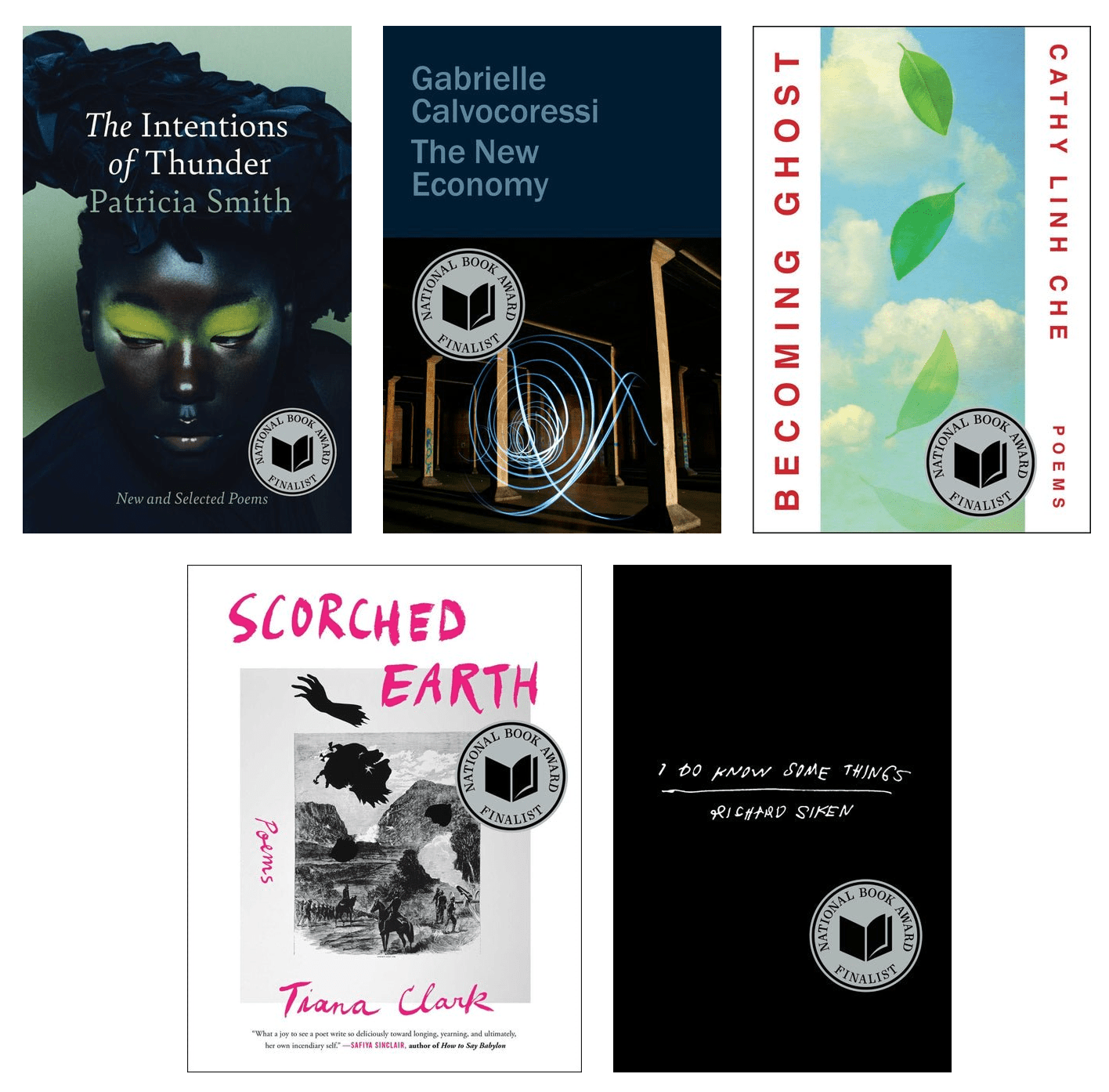 The Poetry Books up for the 2025 National Book Award for Poetry - The Poetry Shop