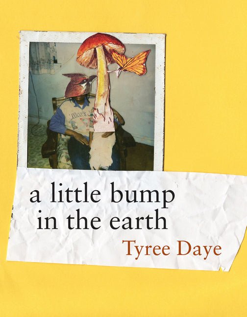 A Little Bump in the Earth - GetBooks_book - The Poetry Shop LLC