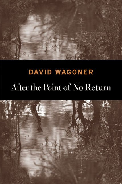 After the Point of No Return by David Wagoner