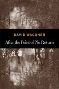 After the Point of No Return by David Wagoner