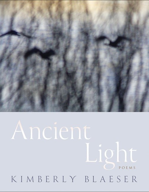 Ancient Light: Poems Volume 94 - The Poetry Shop