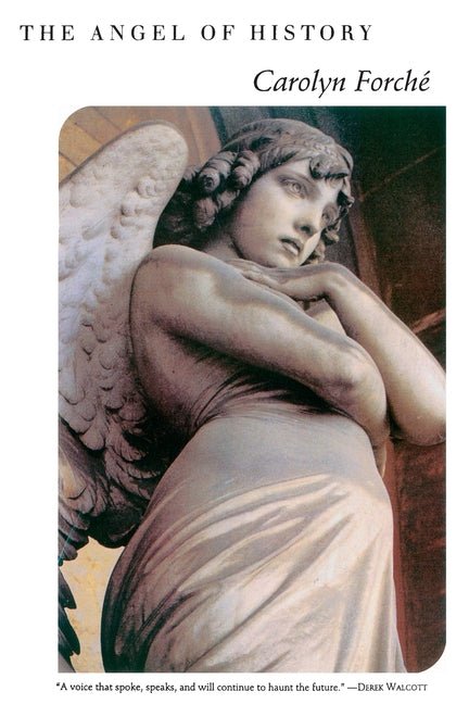 Angel of History - The Poetry Shop