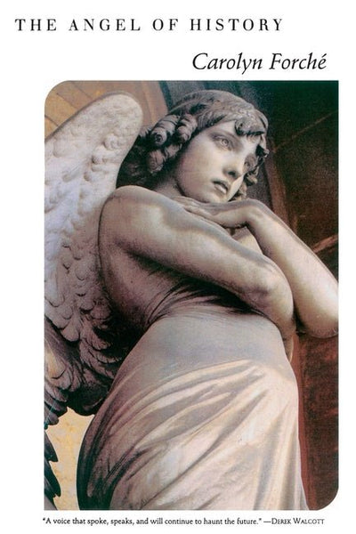 Angel of History - The Poetry Shop