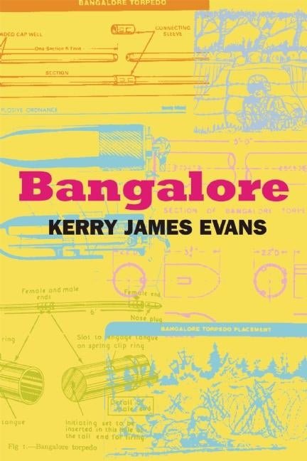 Bangalore by Kerry James Evans