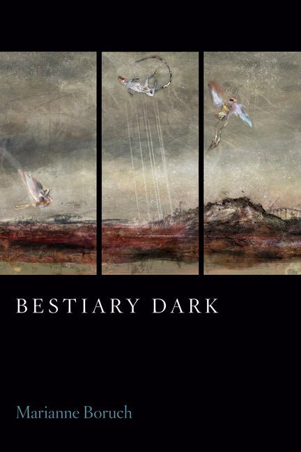 Bestiary Dark by Marianne Boruch