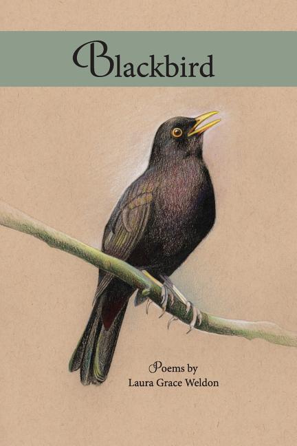 Blackbird by Laura Grace Weldon