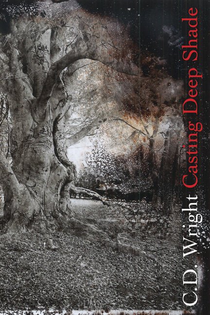 Casting Deep Shade by C D Wright