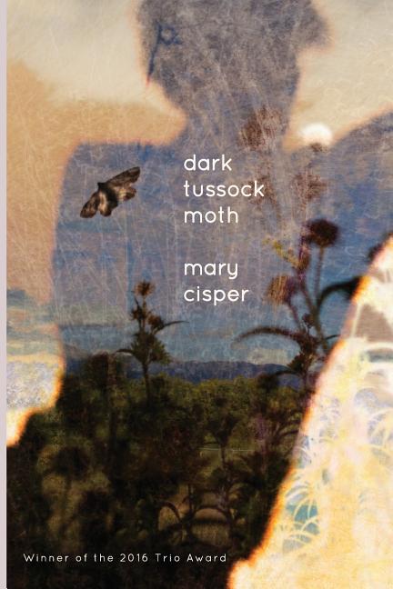 Dark Tussock Moth - GetBooks_book - The Poetry Shop