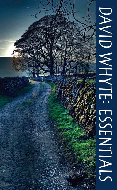David Whyte Essentials - The Poetry Shop