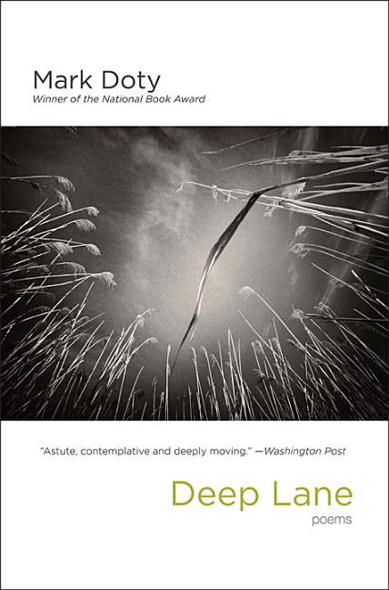 Deep Lane: Poems - The Poetry Shop