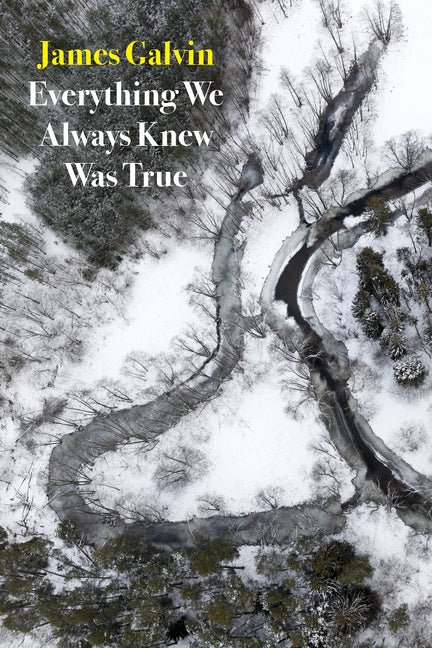 Everything We Always Knew Was True by James Galvin