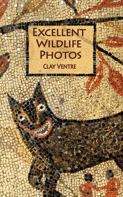 Excellent Wildlife Photos - The Poetry Shop