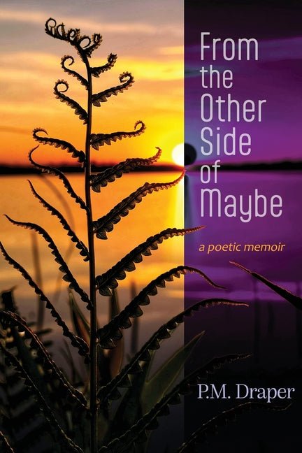 From the Other Side of Maybe by P M Draper