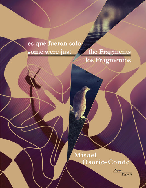 Some Were Just the Fragments // Es Que Fueron Solo Los Fragmentos (English and Spanish Language)