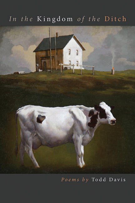 In the Kingdom of the Ditch - GetBooks_book - The Poetry Shop