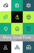 Many Small Fires by Charlotte Jeane Pence