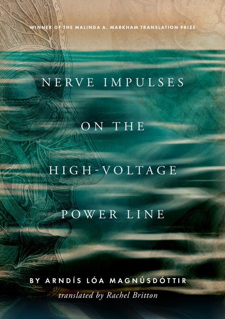 Nerve Impulses on the High-Voltage Power Line by Arndís Magnúsdóttir