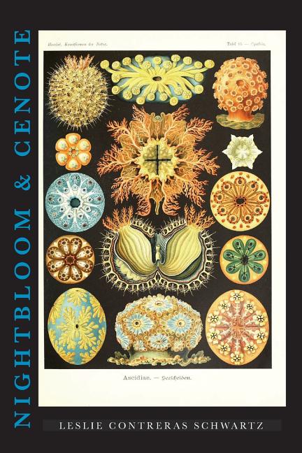 Nightbloom & Cenote - The Poetry Shop