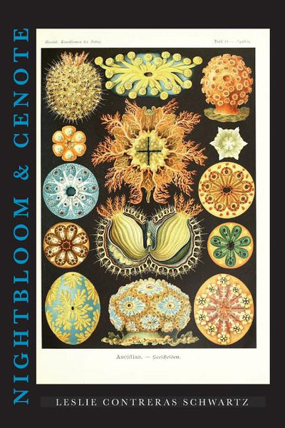 Nightbloom & Cenote - The Poetry Shop