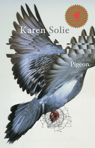Pigeon - The Poetry Shop