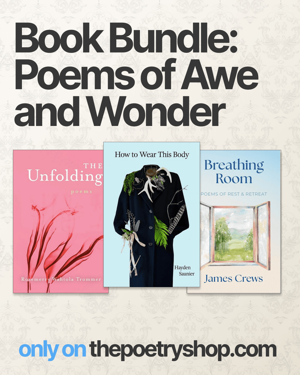 Poems of Awe and Wonder: poetry by Hayden Saunier, Rosemerry Wahtola Trommer, James Crews - GetBooks_book - The Poetry Shop