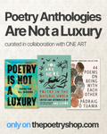 Poetry Anthologies Are Not a Luxury - Books - The Poetry Shop