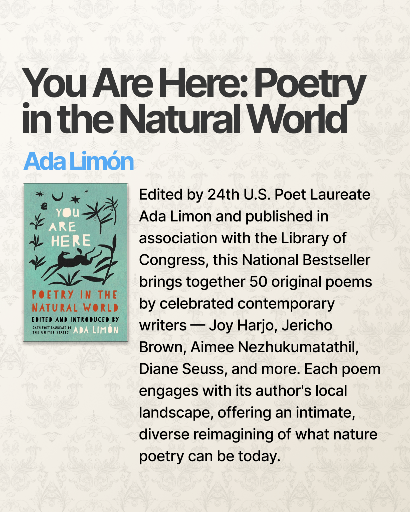 Poetry Anthologies Are Not a Luxury - Books - The Poetry Shop