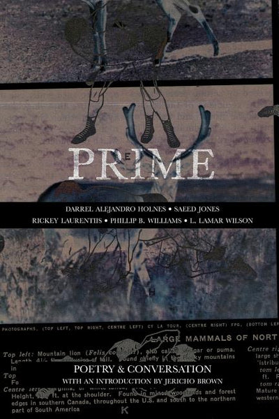 Prime: Poetry & Conversation - The Poetry Shop