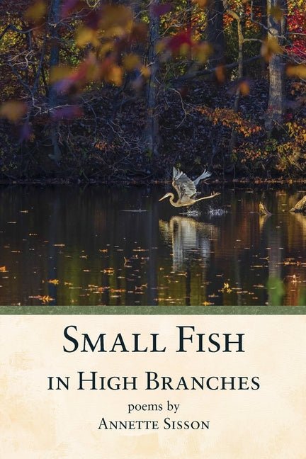 Small Fish in High Branches - The Poetry Shop