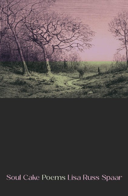 Soul Cake: Poems - GetBooks_book - The Poetry Shop LLC