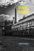 Steady Daylight: Poems - The Poetry Shop