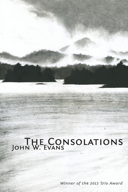 The Consolations - GetBooks_book - The Poetry Shop