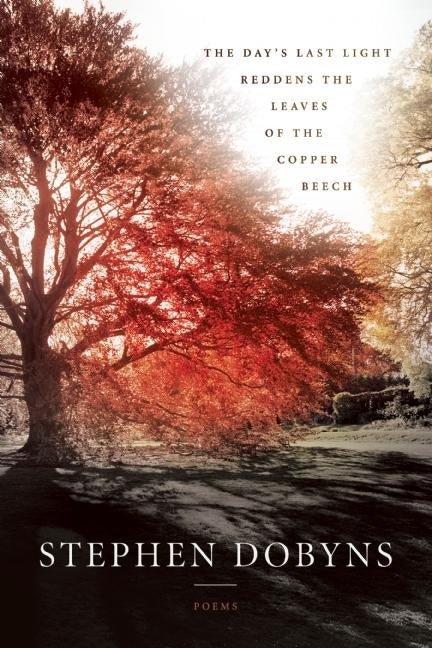 The Day's Last Light Reddens the Leaves of the Copper Beech - The Poetry Shop