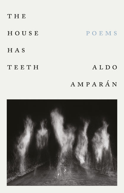The House Has Teeth by Aldo Amparán