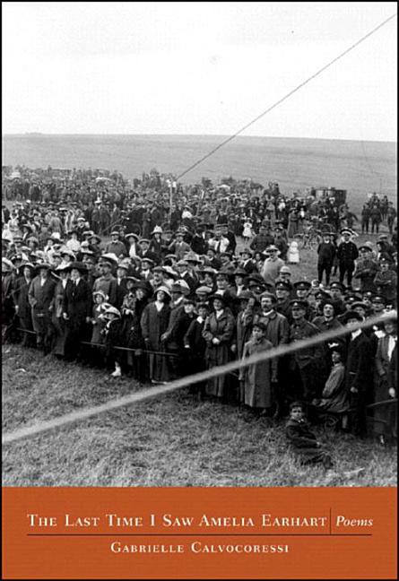 The Last Time I Saw Amelia Earhart: Poems - GetBooks_book - The Poetry Shop LLC
