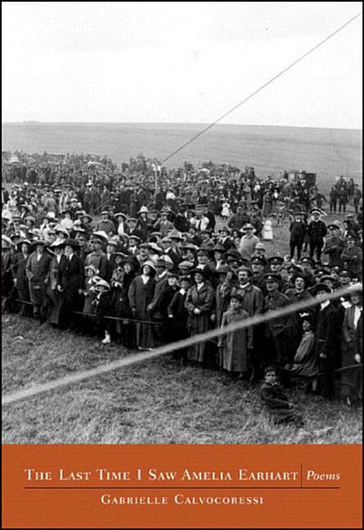 The Last Time I Saw Amelia Earhart: Poems - GetBooks_book - The Poetry Shop LLC