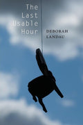 The Last Usable Hour by Deborah Landau