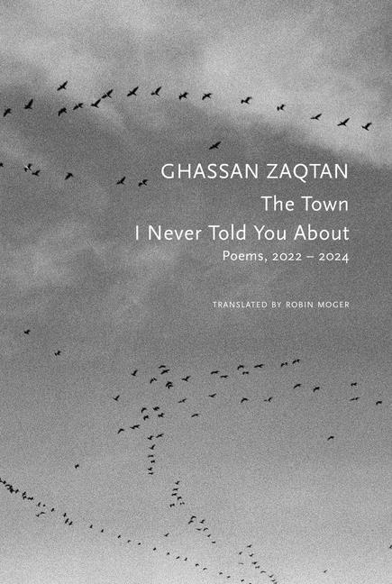The Town I Never Told You about: Poems, 2022 - 2024 - GetBooks_book - The Poetry Shop
