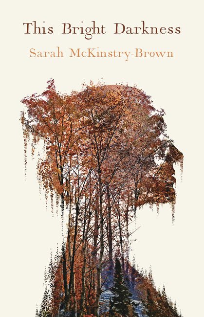 This Bright Darkness by Sarah Brown