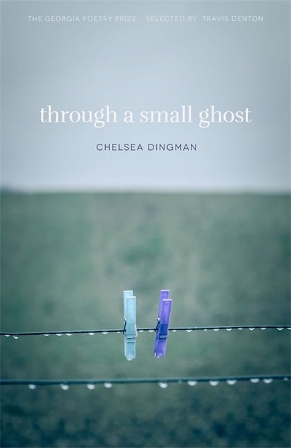 Through a Small Ghost: Poems - GetBooks_book - The Poetry Shop LLC
