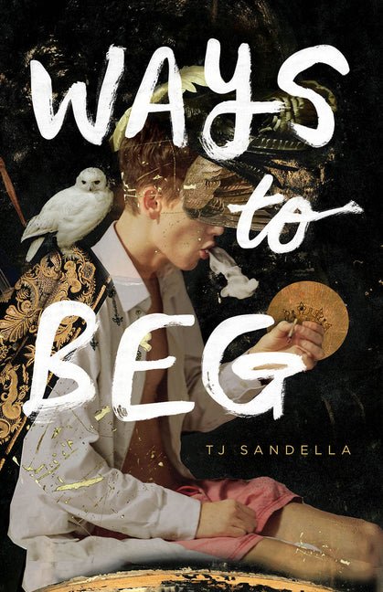 Ways to Beg by Tj Sandella