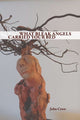 What Bleak Angels Carried Your Bed - GetBooks_book - The Poetry Shop