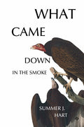 What Came Down in the Smoke - GetBooks_book - The Poetry Shop LLC