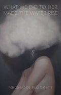 What We Did to Her Made the Water Rise by Meghann Plunkett