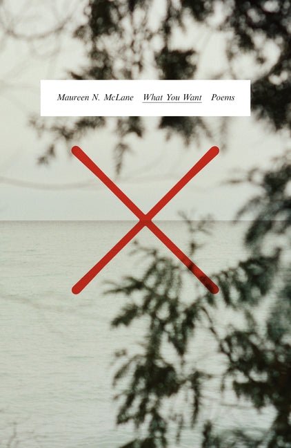 What You Want: Poems - The Poetry Shop