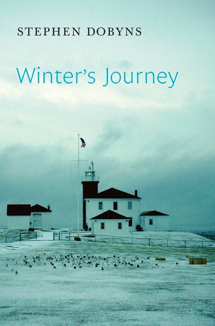 Winter's Journey by Stephen Dobyns